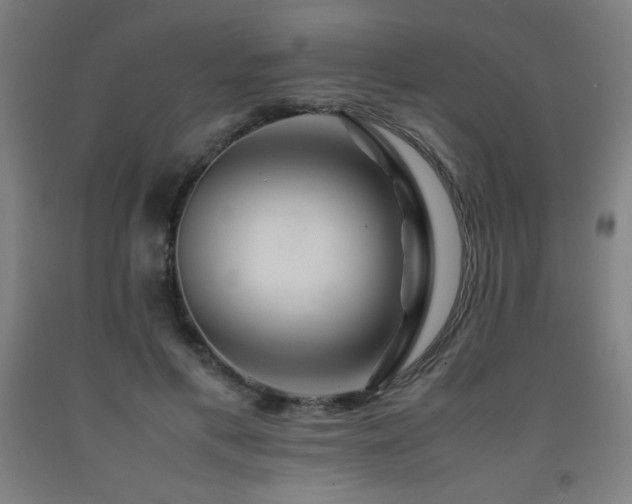X0000093240597200709261710