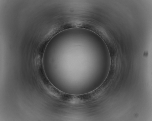 X0000093240598200709261710