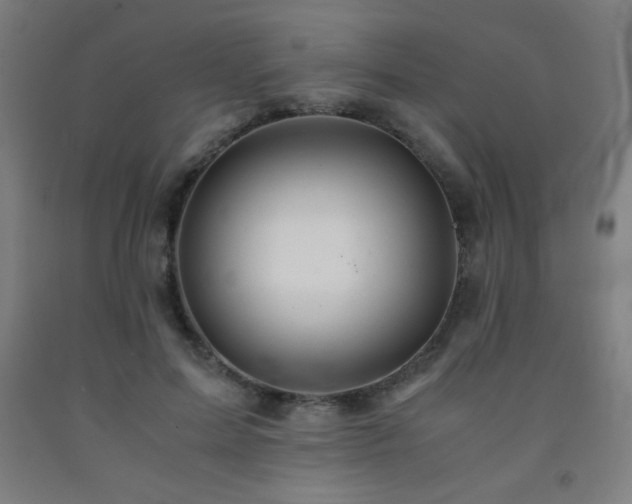 X0000093240599200709261710