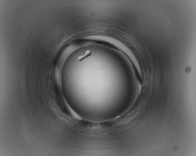 X0000093240600200709261710