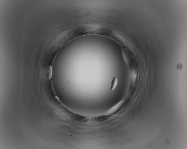 X0000093240601200709261710