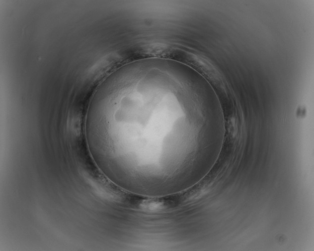 X0000093240602200709261710