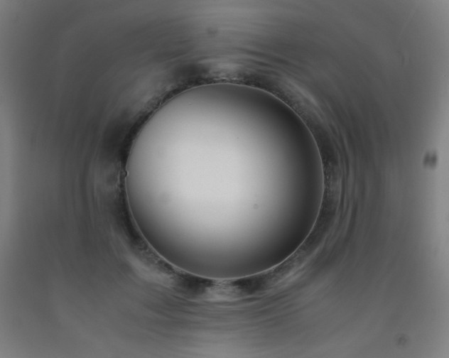 X0000093240603200709261710