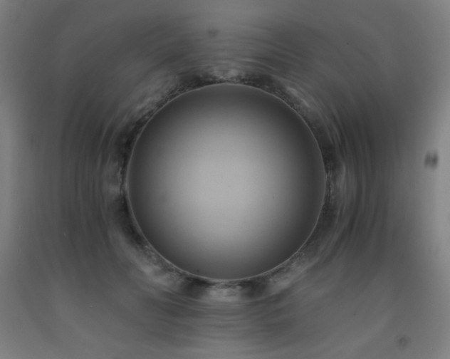 X0000093240606200709261710