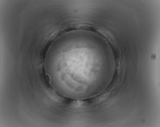 X0000093240607200709261710