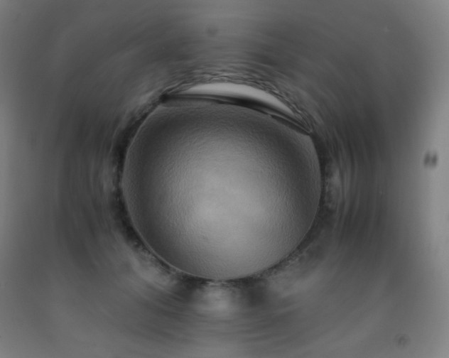 X0000093240608200709261710
