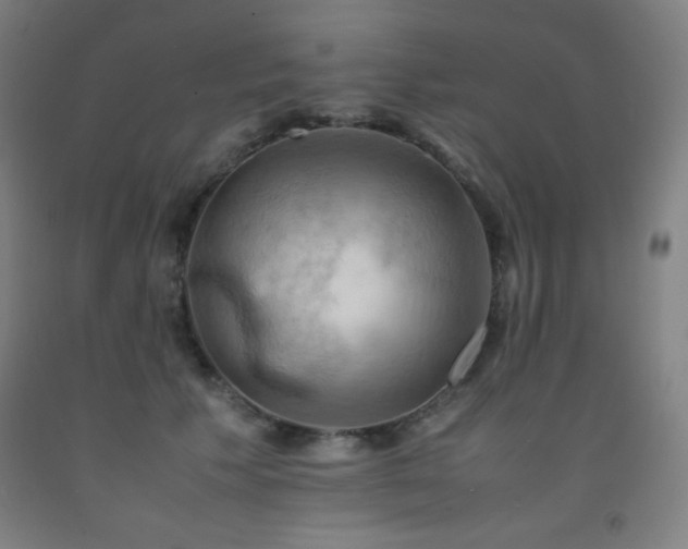 X0000093240609200709261710