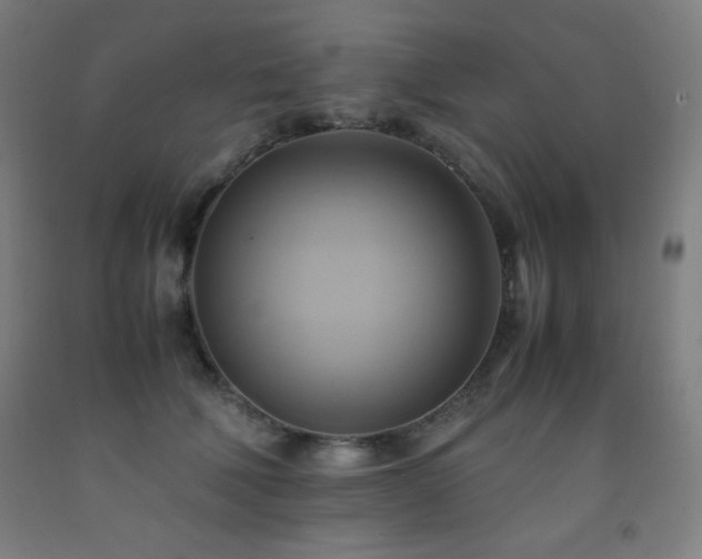 X0000093240610200709261710