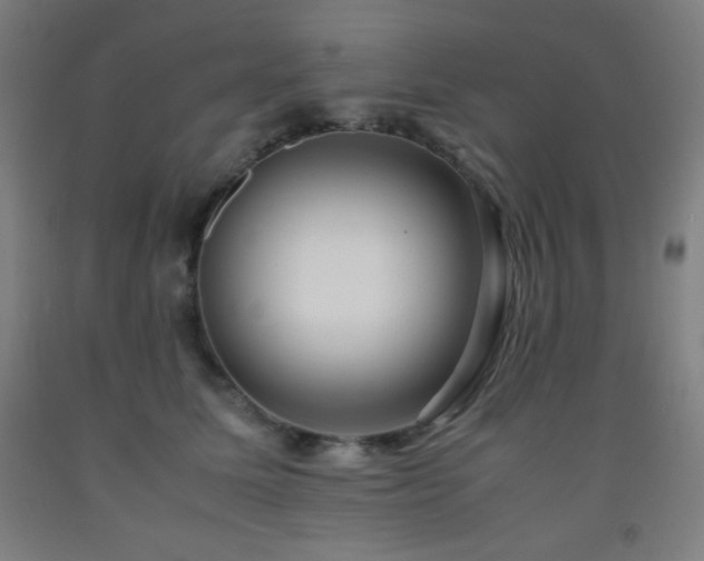 X0000093240611200709261710