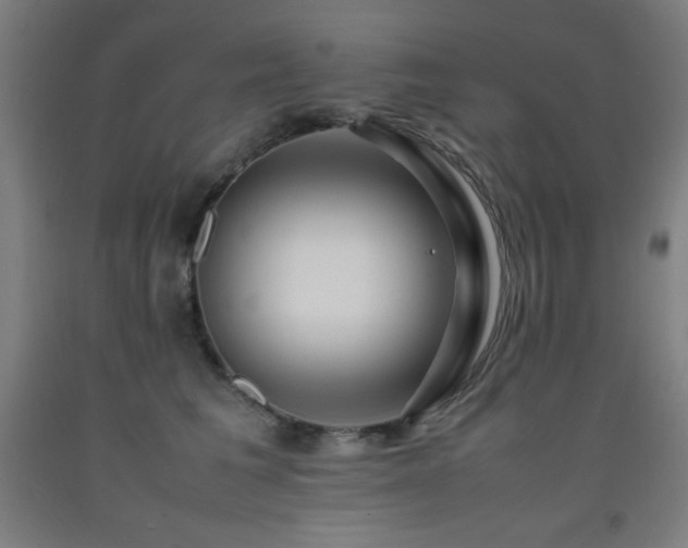 X0000093240613200709261710