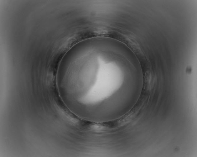 X0000093240614200709261710