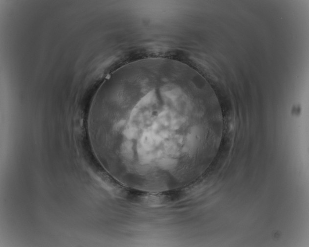 X0000093240615200709261710