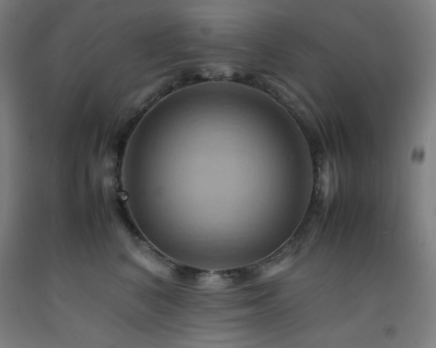 X0000093240616200709261710