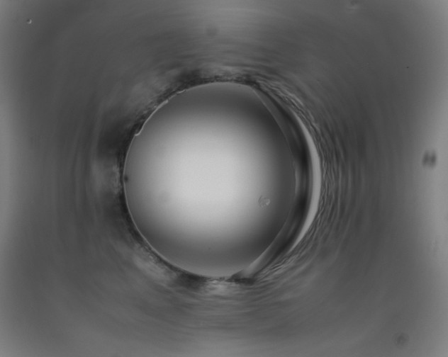 X0000093240617200709261710