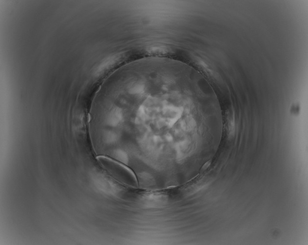 X0000093240619200709261710