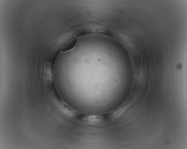 X0000093240622200709261710