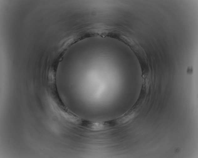 X0000093240623200709261710
