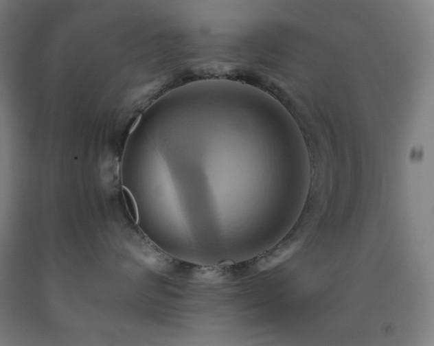 X0000093240624200709261710