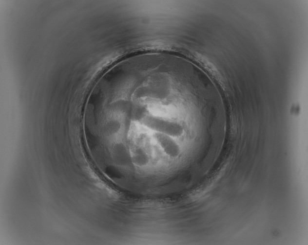 X0000093240625200709261709