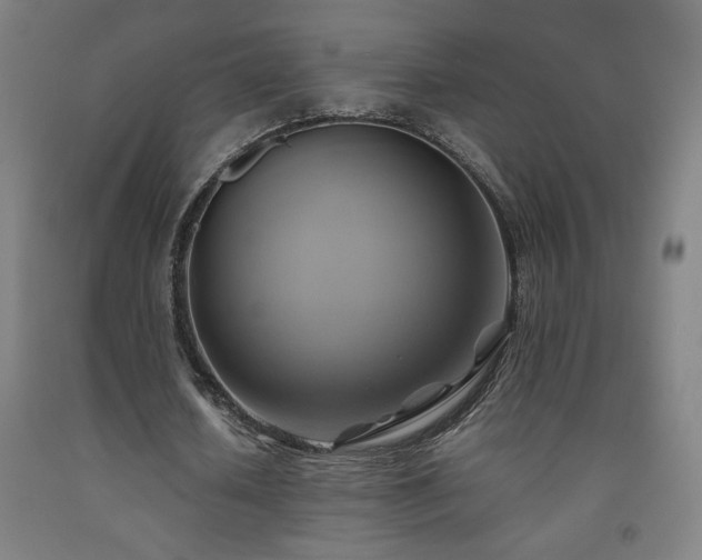 X0000093240626200709261709