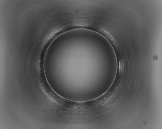 X0000093240627200709261709