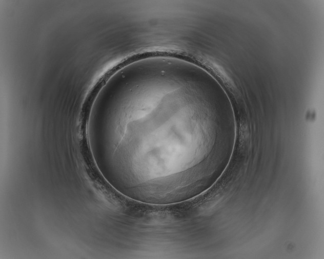 X0000093240628200709261709