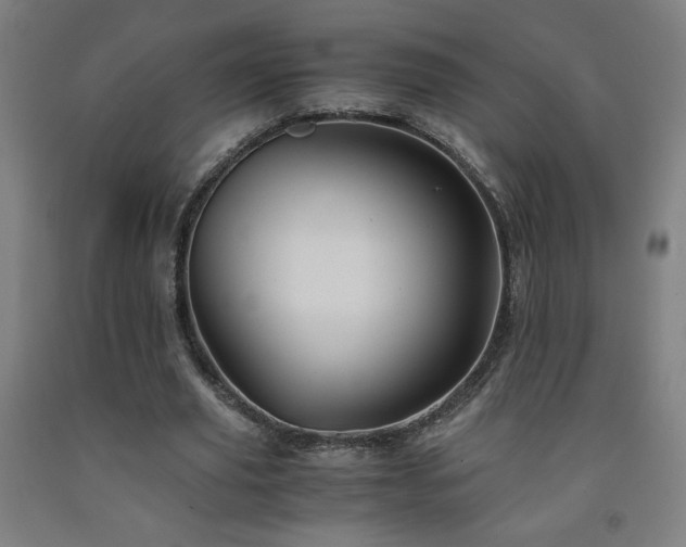 X0000093240629200709261709