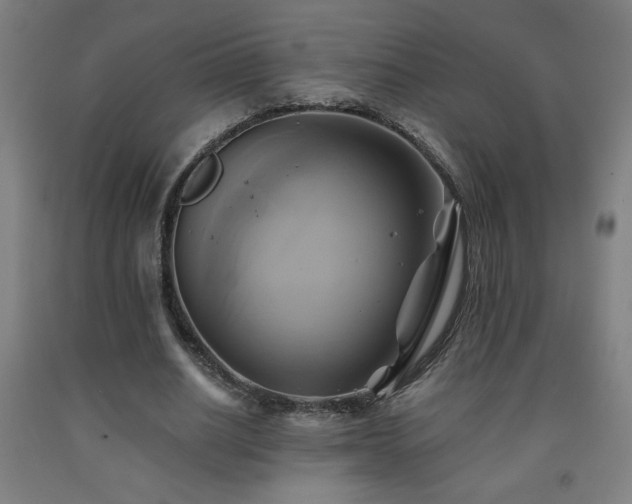 X0000093240630200709261709