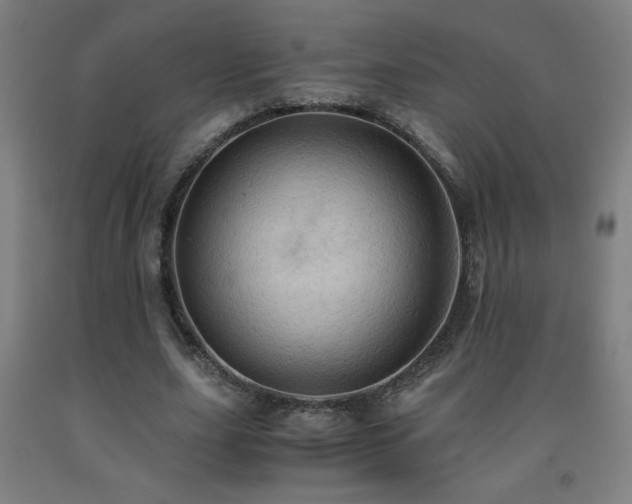 X0000093240631200709261709