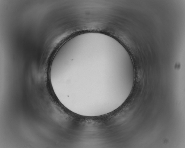 X0000093240632200709261709