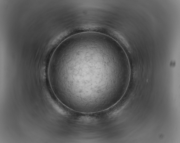 X0000093240633200709261709