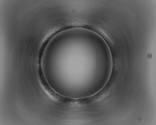 X0000093240634200709261709