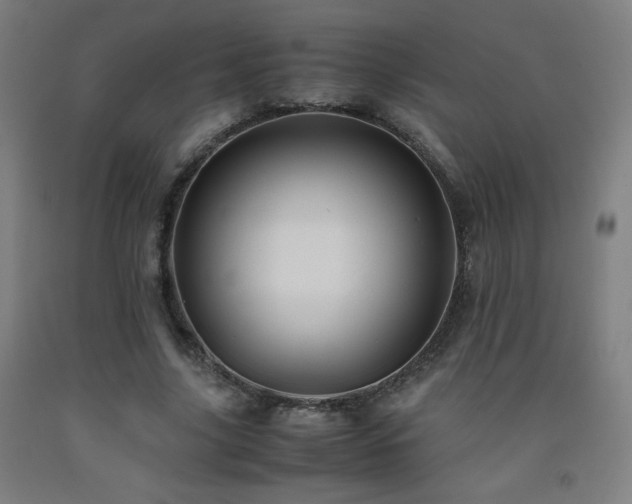 X0000093240635200709261709