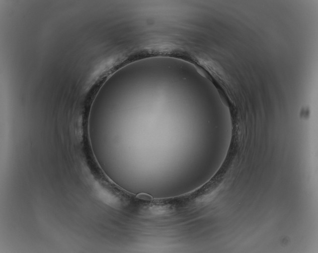 X0000093240638200709261709