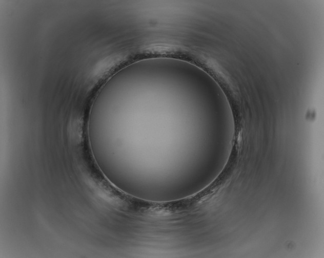 X0000093240640200709261709