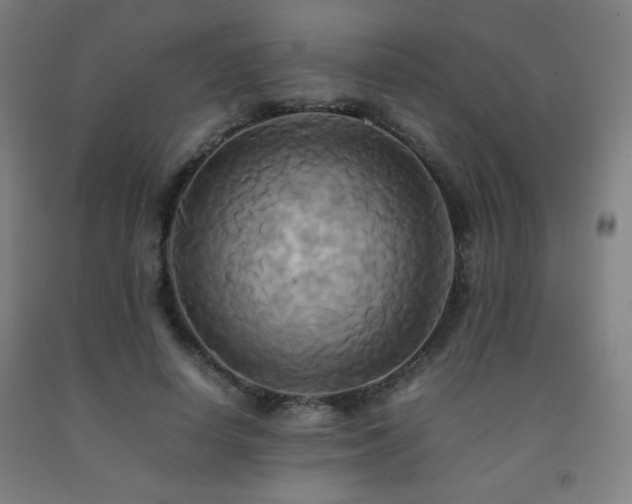 X0000093240642200709261709