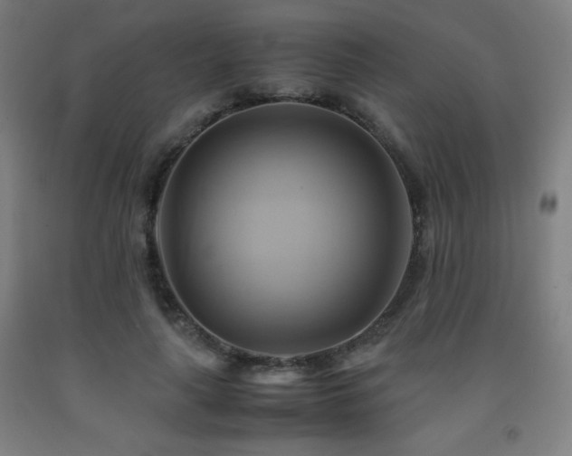 X0000093240643200709261709