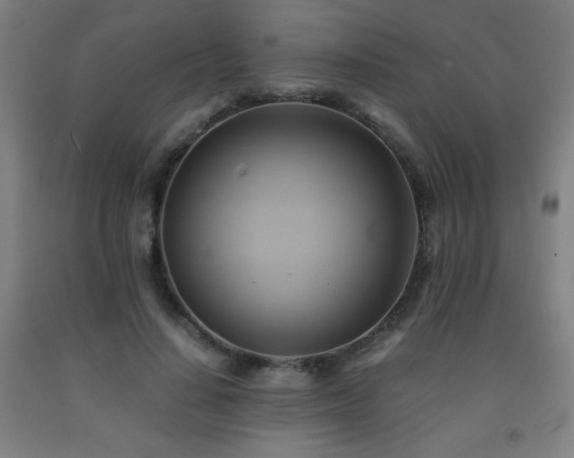 X0000093240644200709261709