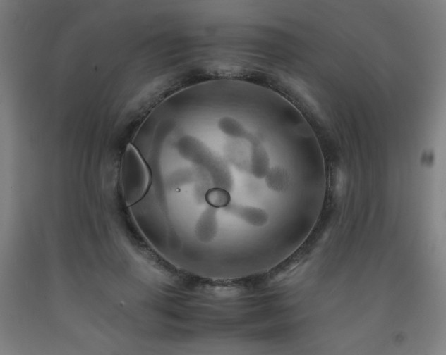 X0000093240645200709261709
