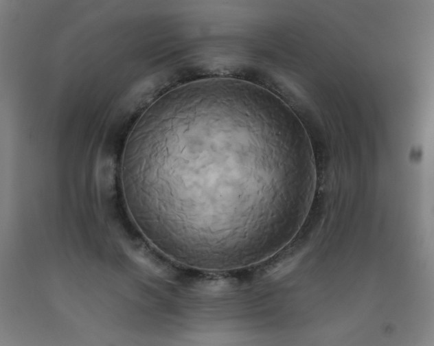 X0000093240646200709261709