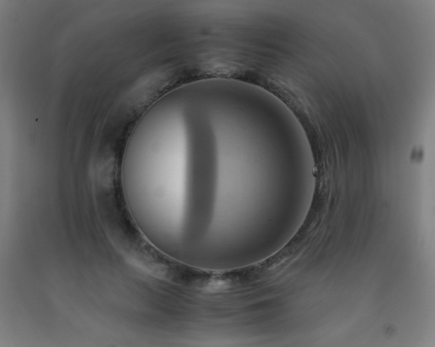 X0000093240647200709261709