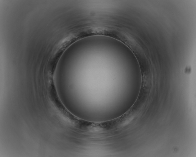 X0000093240648200709261709