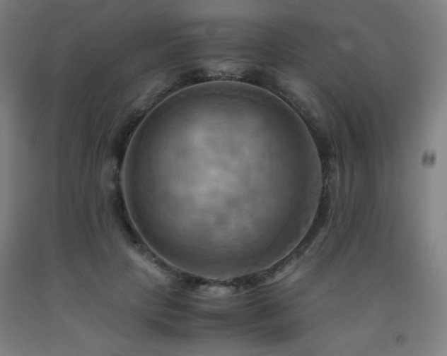 X0000093240649200709261709