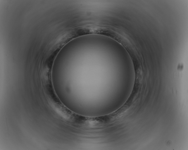 X0000093240650200709261709