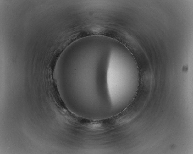 X0000093240651200709261709