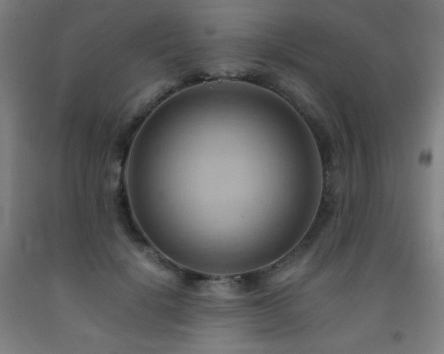 X0000093240652200709261710