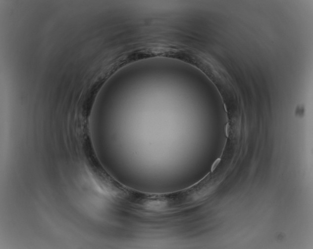 X0000093240653200709261710