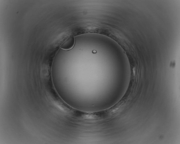 X0000093240654200709261710