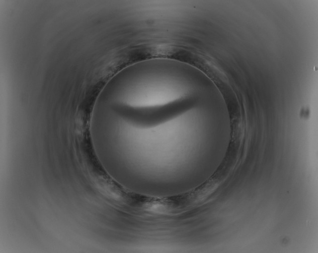 X0000093240655200709261710