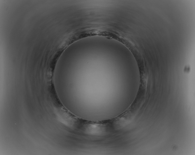 X0000093240657200709261710